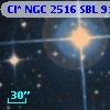 Cl* NGC 2516    SBL     910