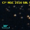 Cl* NGC 2516    SBL     911