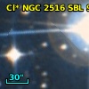 Cl* NGC 2516    SBL     923
