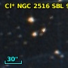 Cl* NGC 2516    SBL     924