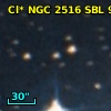 Cl* NGC 2516    SBL     935