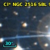 Cl* NGC 2516    SBL     940