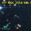 Cl* NGC 2516    SBL     957