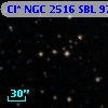 Cl* NGC 2516    SBL     976