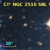 Cl* NGC 2516    SBL     978