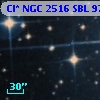 Cl* NGC 2516    SBL     979
