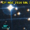Cl* NGC 2516    SBL    1002