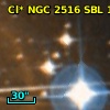 Cl* NGC 2516    SBL    1003