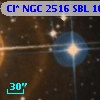Cl* NGC 2516    SBL    1011