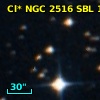 Cl* NGC 2516    SBL    1013