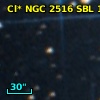 Cl* NGC 2516    SBL    1020