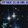 Cl* NGC 2516    SBL    1023