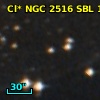 Cl* NGC 2516    SBL    1027