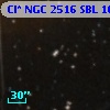 Cl* NGC 2516    SBL    1028