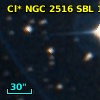 Cl* NGC 2516    SBL    1029
