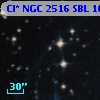 Cl* NGC 2516    SBL    1031
