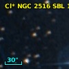 Cl* NGC 2516    SBL    1033