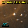 Cl* NGC 2516    SBL    1038
