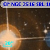 Cl* NGC 2516    SBL    1045