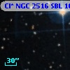 Cl* NGC 2516    SBL    1048
