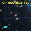 Cl* NGC 2516    SBL    1050