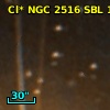Cl* NGC 2516    SBL    1053