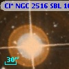 Cl* NGC 2516    SBL    1060
