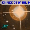 Cl* NGC 2516    SBL    1071
