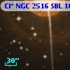Cl* NGC 2516    SBL    1075