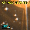Cl* NGC 2516    SBL    1076