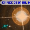 Cl* NGC 2516    SBL    1078