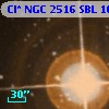 Cl* NGC 2516    SBL    1081