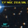 Cl* NGC 2516    SBL    1091