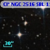 Cl* NGC 2516    SBL    1100
