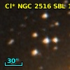 Cl* NGC 2516    SBL    1101