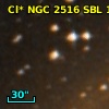 Cl* NGC 2516    SBL    1102