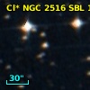 Cl* NGC 2516    SBL    1103