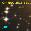 Cl* NGC 2516    SBL    1113