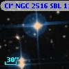 Cl* NGC 2516    SBL    1114
