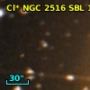 Cl* NGC 2516    SBL    1119