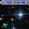 Cl* NGC 2516    SBL    1122