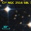 Cl* NGC 2516    SBL    1125