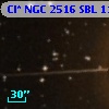Cl* NGC 2516    SBL    1131