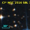 Cl* NGC 2516    SBL    1132