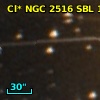 Cl* NGC 2516    SBL    1143