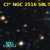 Cl* NGC 2516    SBL    1174