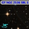 Cl* NGC 2516    SBL    1178