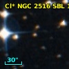 Cl* NGC 2516    SBL    1193