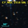 Cl* NGC 2516    SBL    1204