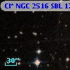 Cl* NGC 2516    SBL    1205